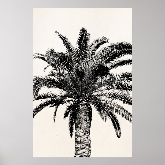 Affiches Palmier de l'île tropicale rétro en noir et blanc (Devant)