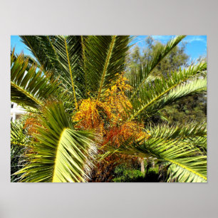 Affiches Palmier feuilles et fleurs