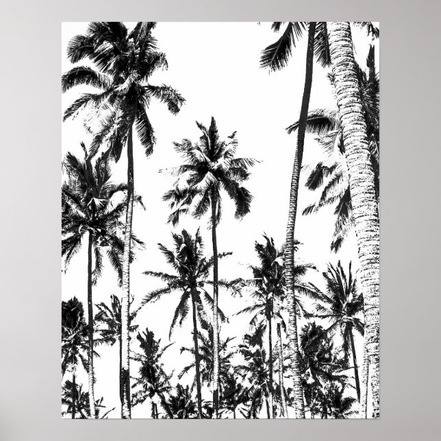 Affiches Palmier noir et blanc été tropical (Devant)