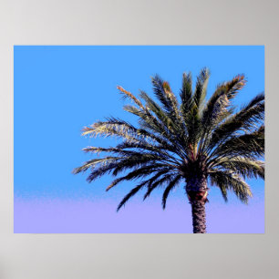 Affiches palmier tropical