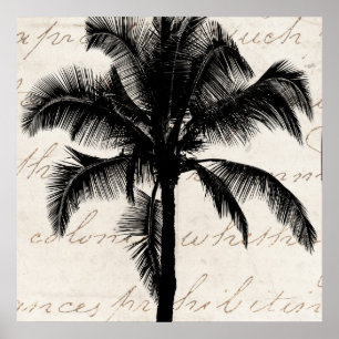 Affiches Palmier tropicale hawaïenne rétro Silhouette Noir