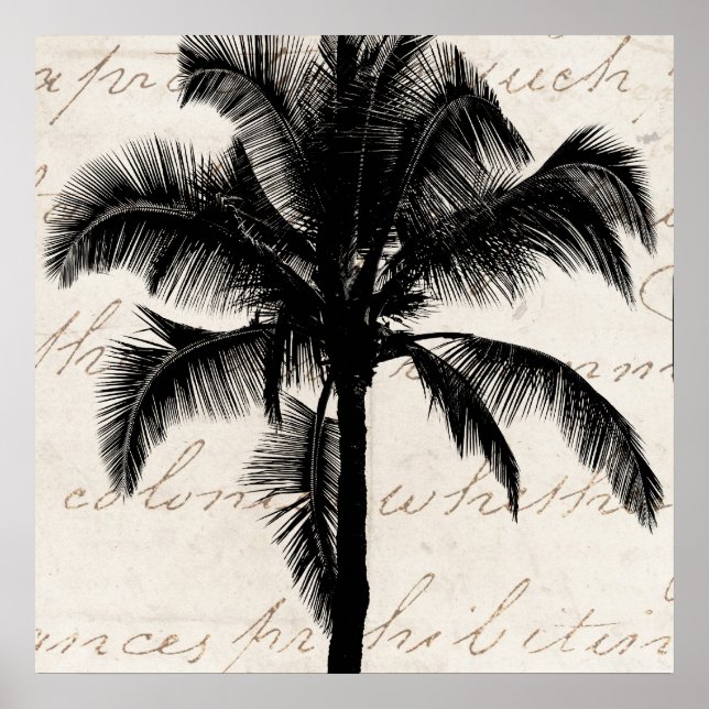 Affiches Palmier tropicale hawaïenne rétro Silhouette Noir (Devant)