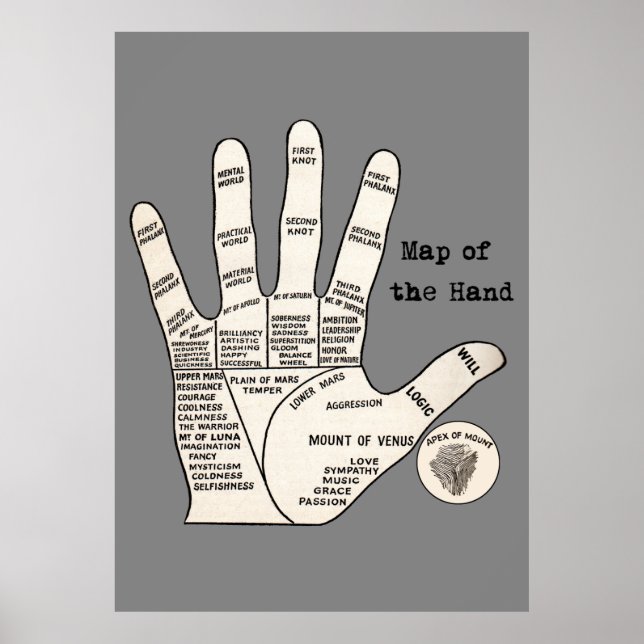 Affiches Palmier vintage lecture fortune misère (Devant)