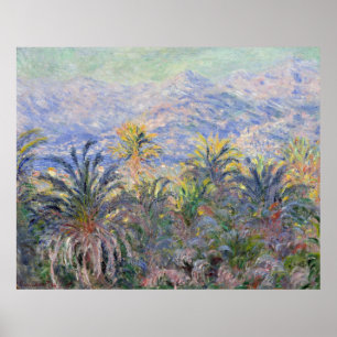 Affiches Palmiers chez Bordighera - Claude Monet