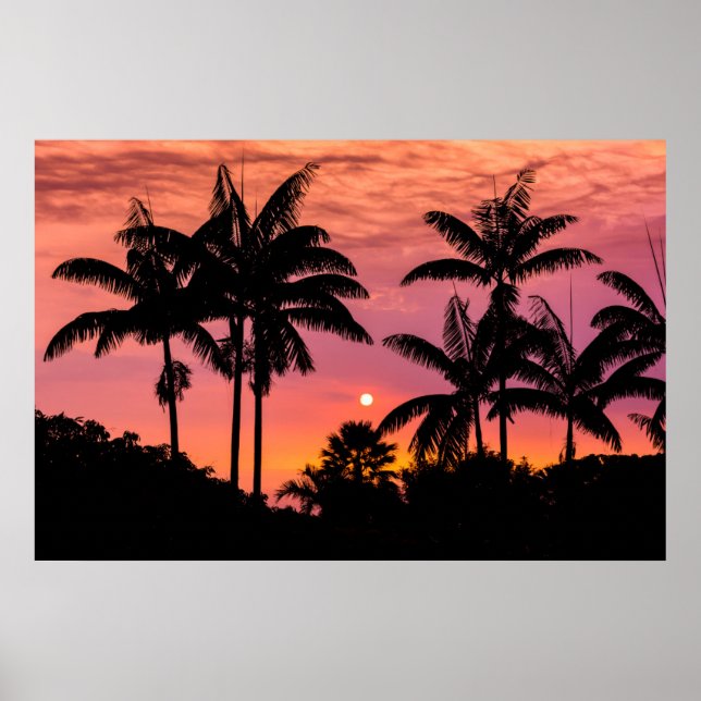Affiches Palmiers en silhouette, Hawaii (Devant)