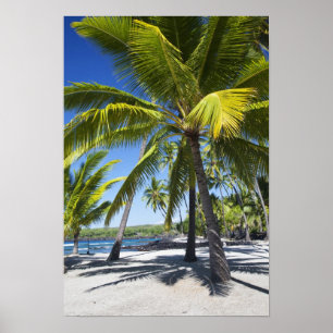 Affiches Palmiers, Parc National Historique Pu'uhonua o