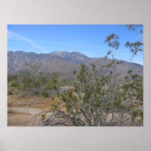 Affiches PalmSprings (26)