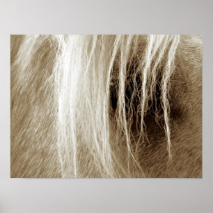 Affiches Palomino De Sepia