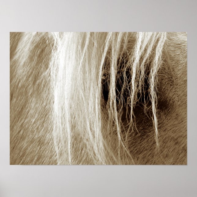 Affiches Palomino De Sepia (Devant)