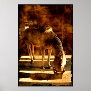 Affiches Palomino Pinto Horse Nourriture en Grange