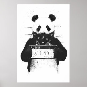 Affiches Panda incorrecte