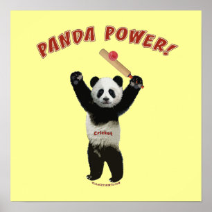 Affiches Panda Power de cricket