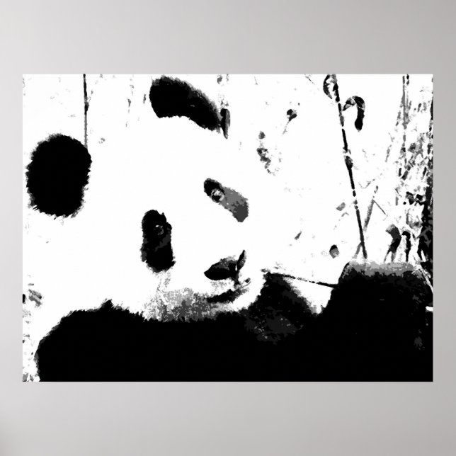 Affiches Panda - Visage de Panda Noir & Blanc (Devant)