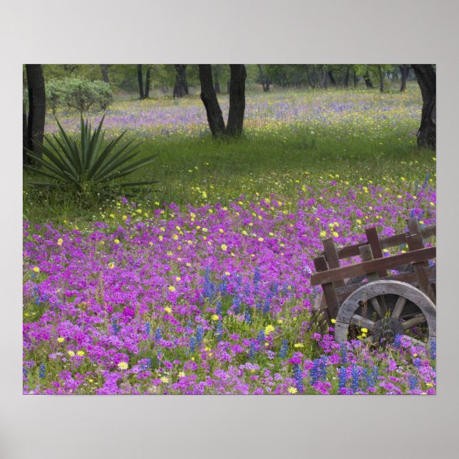Affiches Panier en bois dans le champ de Phlox, Bonnets Ble (Devant)