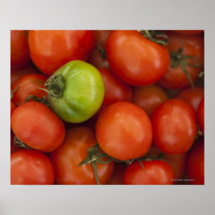 Affiches Panneau à vendre de tomates rouges et vertes
