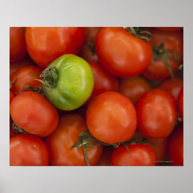Affiches Panneau à vendre de tomates rouges et vertes (Devant)
