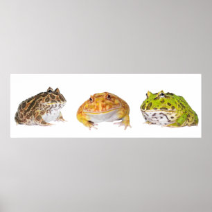 Affiches Panorama de l'affiche Pacman