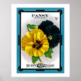 Affiches Pansy