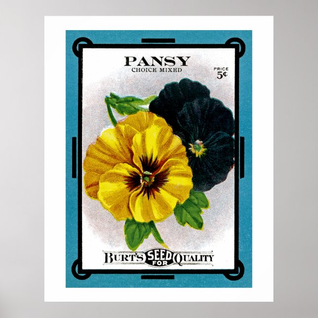 Affiches Pansy (Devant)