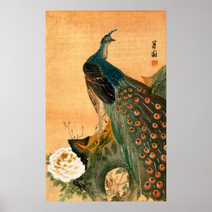 Affiches Paon japonais no.2