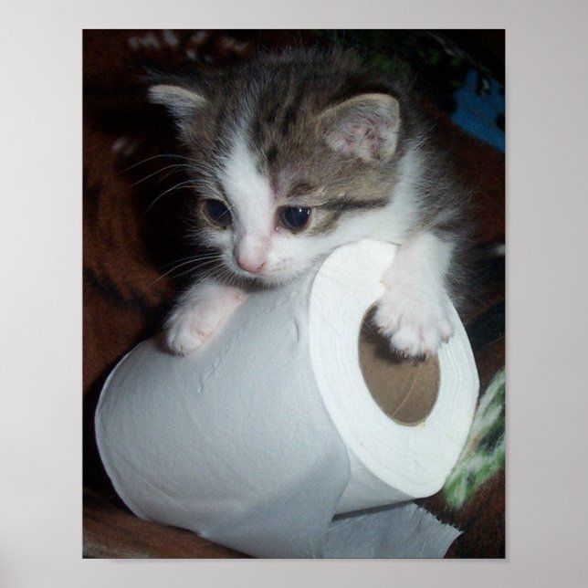 Affiches Papier (Devant)