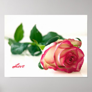 Affiches Papier d'affiche de valeur rose (amour) (mat)