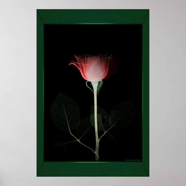 Affiches Papier rose rouge (Devant)
