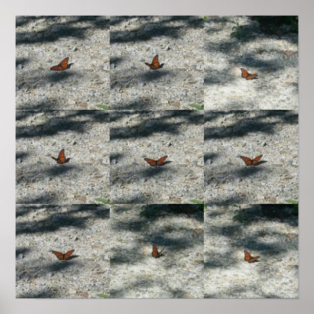 Affiches papillon (Devant)