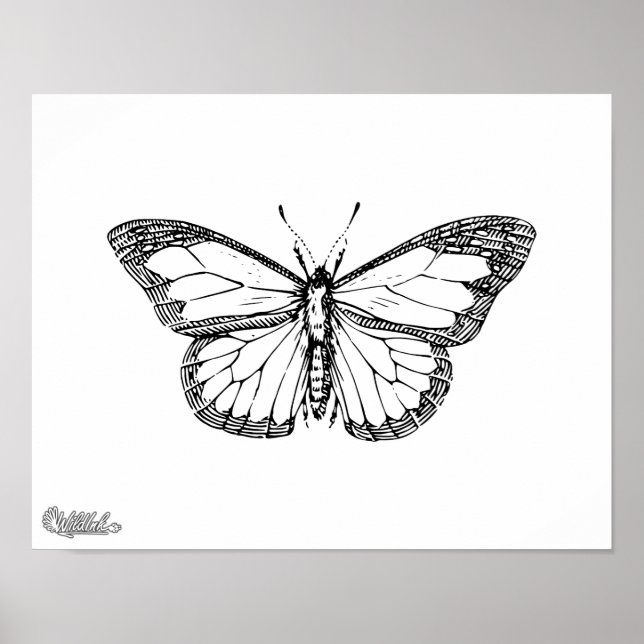 Affiches Papillon (Devant)