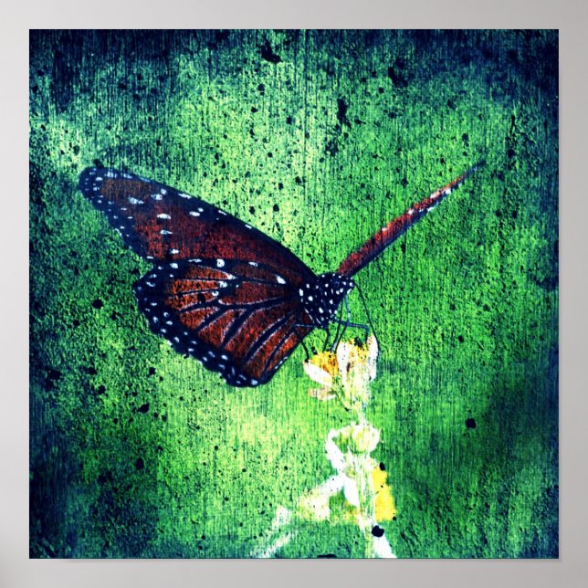 Affiches Papillon (Devant)