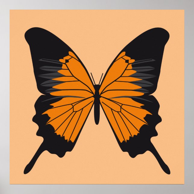 Affiches papillon1 (Devant)