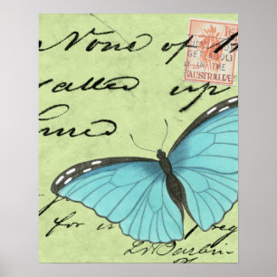 Affiches Papillon à ailes bleues sur carte postale Turquois