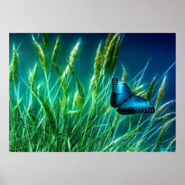 Affiches Papillon bleu Morpho sur herbe verte (Devant)