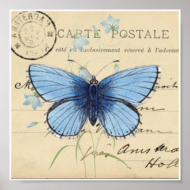 Affiches Papillon bleu vintage Carte postale française Impr (Devant)