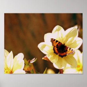 Affiches Papillon d'automne