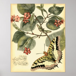 Affiches Papillon et libellule à fleurs rouges