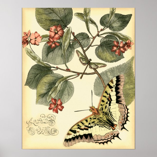 Affiches Papillon et libellule à fleurs rouges (Devant)