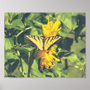Affiches Papillon jaune et fleurs