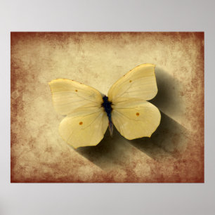 Affiches Papillon jaune Grunge avec ombre