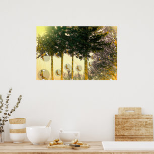 Affiches Papillons dans une bulle