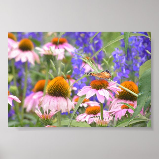 Affiches Papillons et marguerites (Devant)