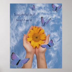 Affiches Papillons tournesol