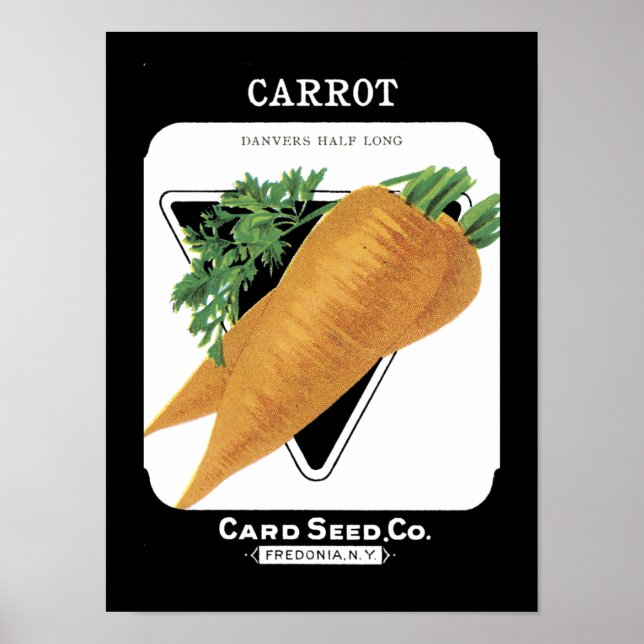 Affiches Paquet de graines de carotte vintage (Devant)