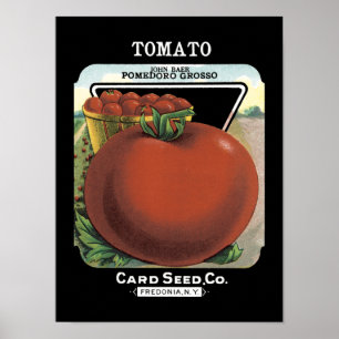 Affiches Paquet de graines de tomate Vintage