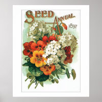 Paquet de semences de fleurs vintages assorties