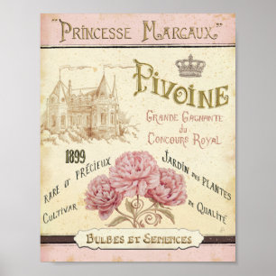Affiches Paquet floral de graine