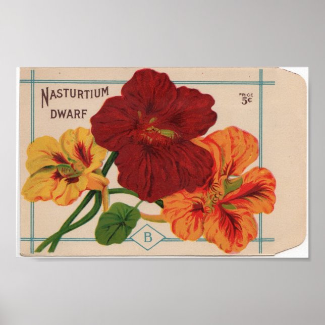 Affiches Paquets de semences vintages (Devant)