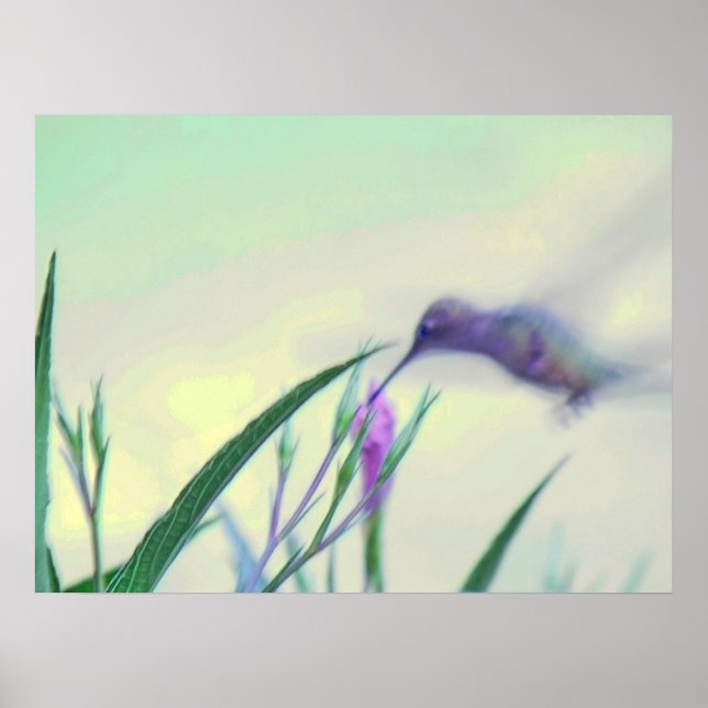 Affiches Paradis pourpre (Devant)