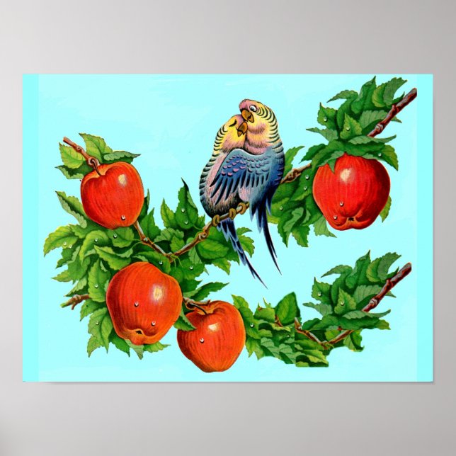 Affiches parakeets in love (Devant)