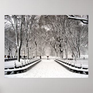 Affiches Parc central 2010 Neige - CIMG6496